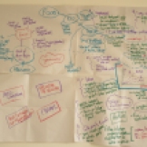 Imperial Ecology seminar with Stefan Morales, mind map (Summer 2012)